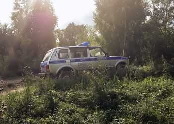 В Сосновском районе при странных обстоятельствах умер подросток