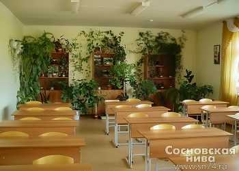 Санитарная грамотность и онлайн-собрания: нововведения ради безопасности