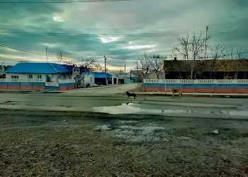 От COVID-19 на деревне не спрячешься: область учится жить в условиях вируса