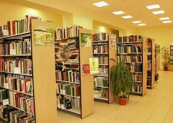 Как готовятся районная и детская библиотеки к юбилеям