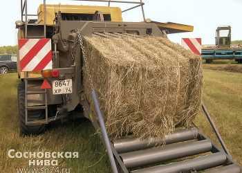 Хватит ли буренкам сена? В Сосновском районе завершается заготовка кормов
