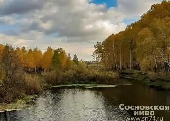 Какая погода нас ждет в выходные
