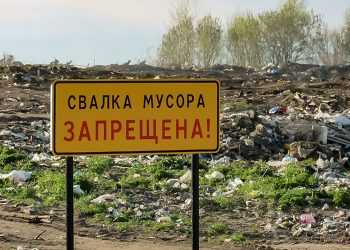 Что делать в случае обнаружения несанкционированной свалки