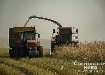 Уборочная страда в Сосновском районе близится к завершению