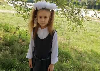 Ребята из Сосновского района получат благодарности от Челябинскстата