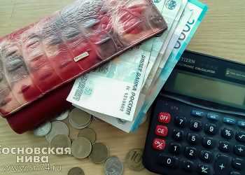 На Южном Урале проиндексируют размеры детских пособий