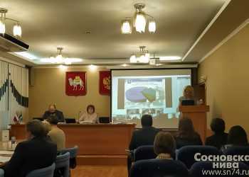 Бюджет Сосновского района на 2021 год принят на сессии депутатов