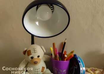 Запланированные отключения электроэнергии на 28 декабря