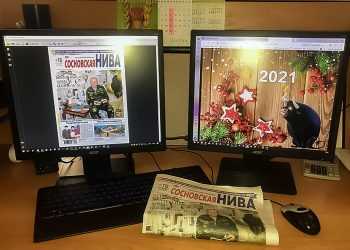 Работа сотрудников СН и внештатных авторов получила признание