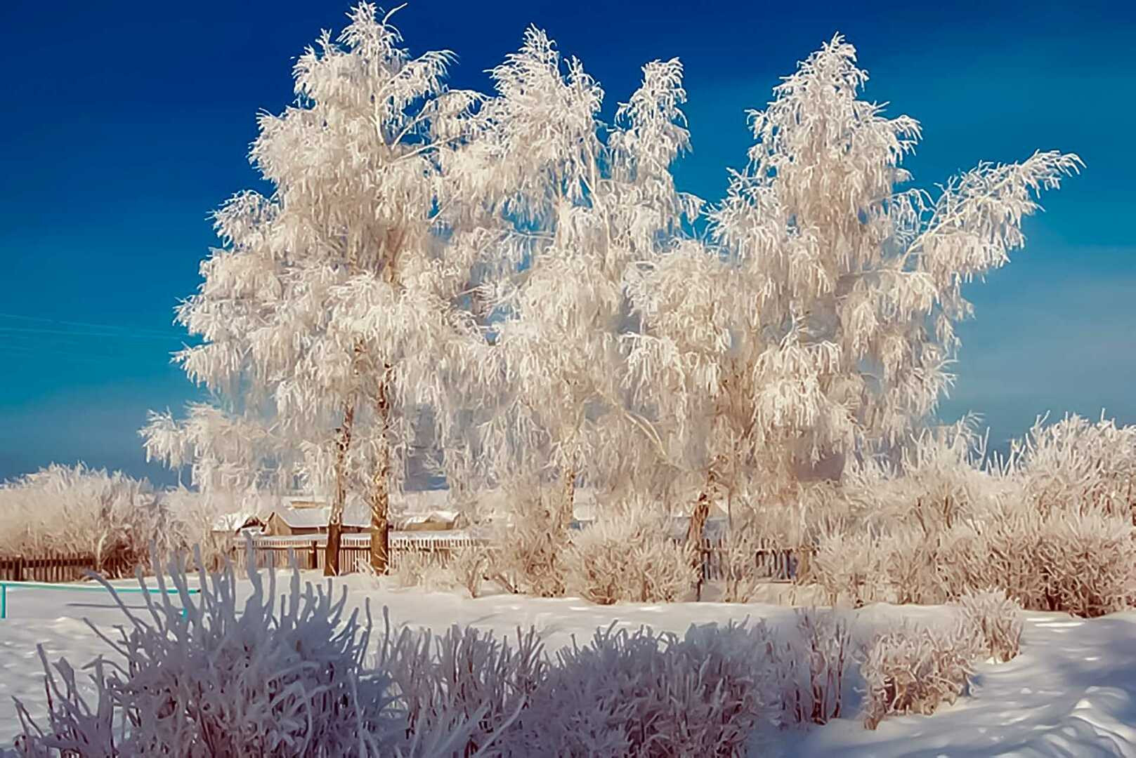 Морозный день