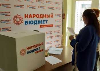 В Сосновском районе принята первая заявка по инициативному бюджетированию