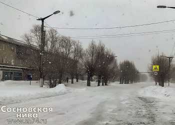 В Челябинской области прогнозируют сильный ветер и мокрый снег