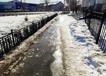 В Сосновском районе будет облачно с прояснениями