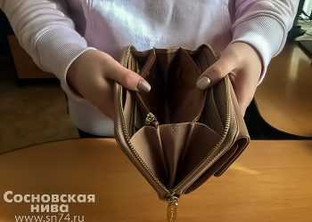Как оформить банкротство через МФЦ без суда и госпошлины