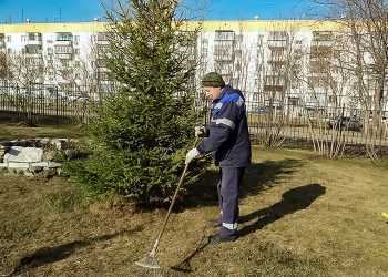 Комфорт, уют и благоустройство Челябинской области в цифрах