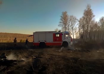 В Сосновском районе боролись с ландшафтным пожаром