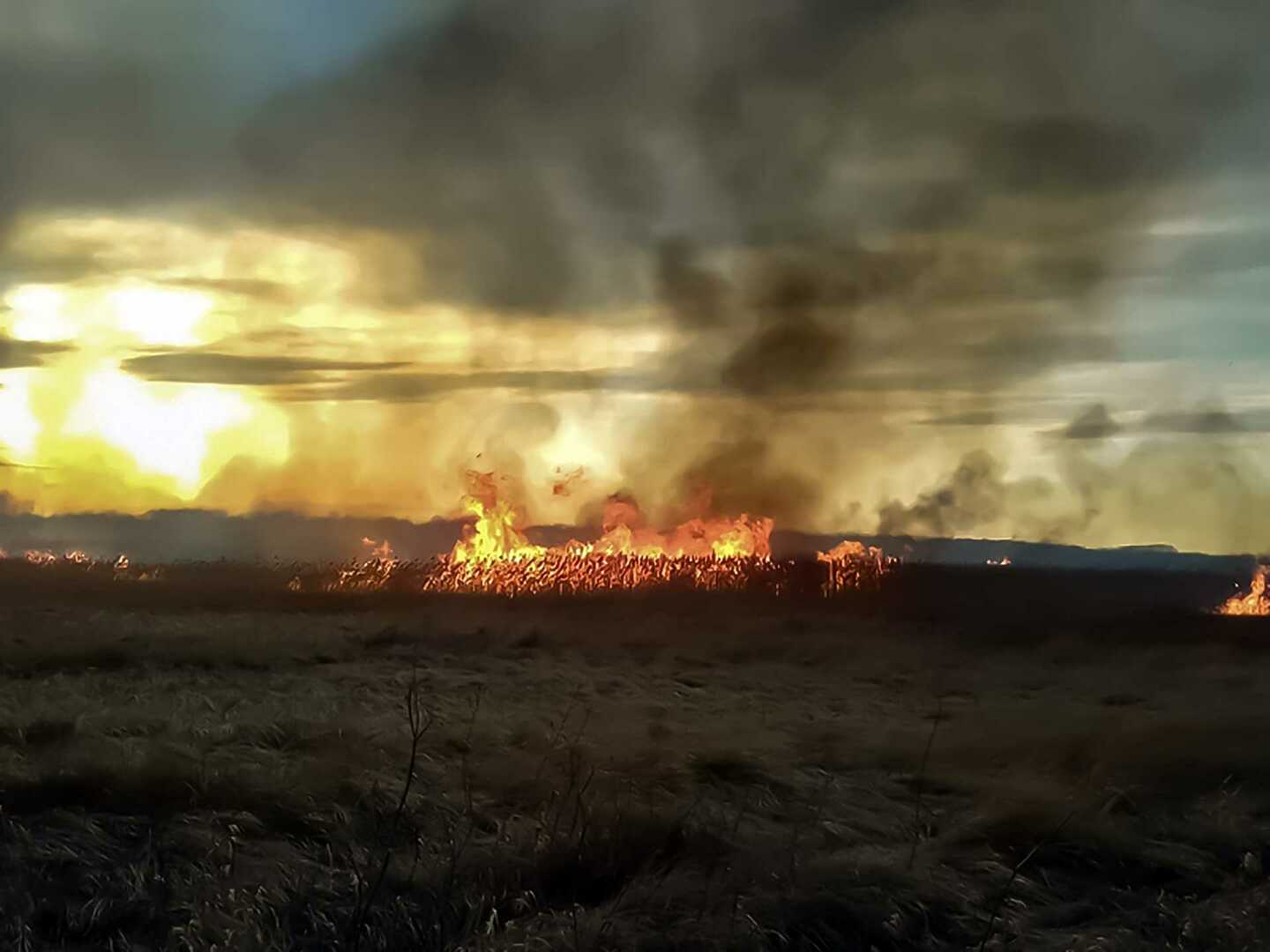 Пожары. Лесные пожары в Челябинской области. Пожар леса в Сосновке Челябинске. Пожар Сосновский район.