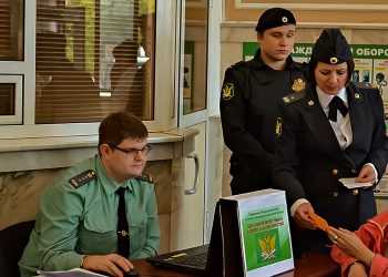 В Сосновском районе мама не дала сыну лишиться автомобиля