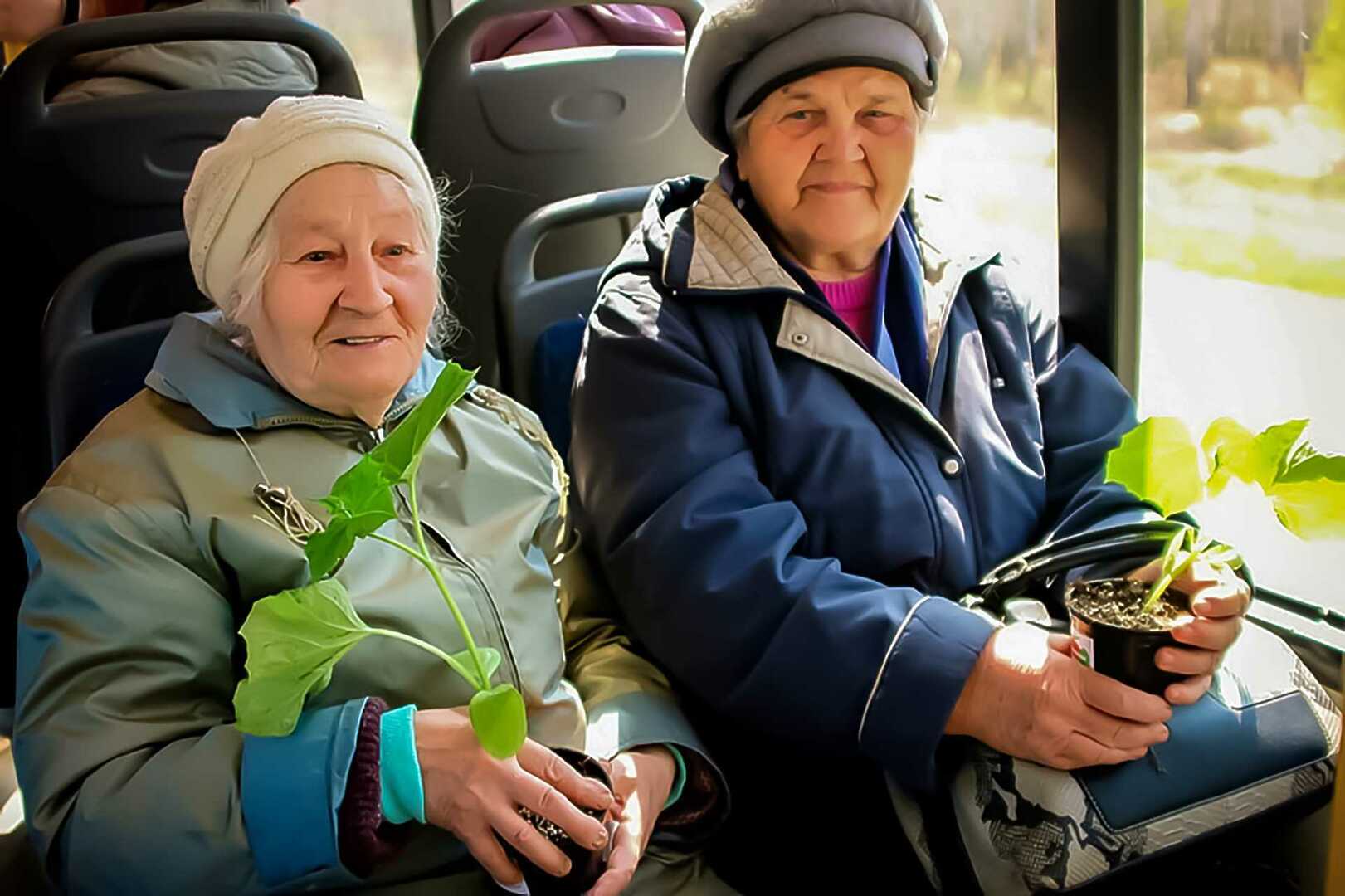 Цветочек в автобусе