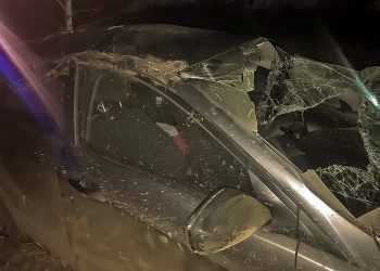 В Сосновском районе шестилетняя девочка пострадала в ДТП