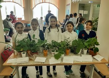 Ученики Долгодеревенской школы провели ежегодную весеннюю ярмарку