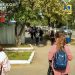 Сотрудники ГИБДД проконтролируют пешеходные переходы возле школ