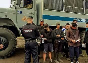 В Сосновском районе мигранты без документов выращивали овощи