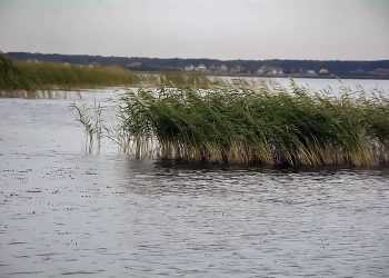 Мужчины заблудились на катере в Сосновском районе. Спасатели нашли их на суше
