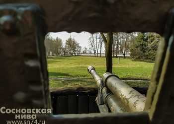 Жизнь сосновских солдат оборвалась в Белгородчине