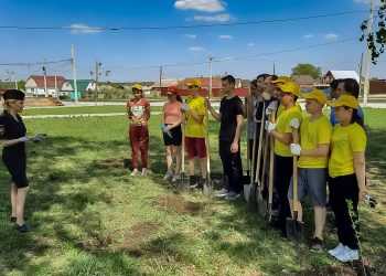 В Красном поле сотрудники ГИБДД и школьники высадили сирень и калину