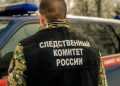 Главу крестьянского хозяйства из Сосновского района бес попутал