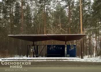 Жителя Сосновского района осудили за дачу взятки при задержании с наркотиками