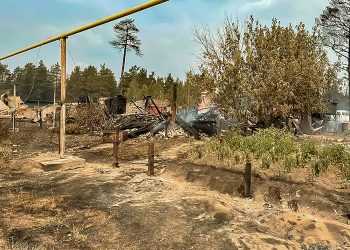 В Челябинской области открыли благотворительный счет для помощи пострадавшим от пожаров