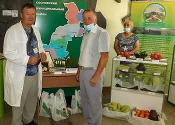 На Южном Урале делились опытом селекции и выращивания картофеля