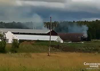 На ферме в Сосновском районе догорает склад сена