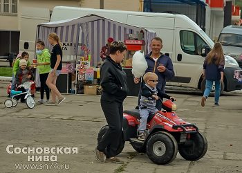 Как живут семьи Южного Урала: интересное в цифрах