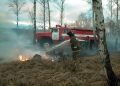 Об ответственности за уничтожение или повреждение лесных насаждений