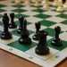В Сосновском районе отметили Международный день шахмат