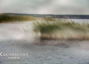 В Челябинске туман и НМУ 1 степени