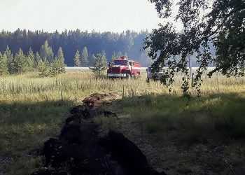 Противопожарные службы Сосновского района борются с лесными пожарами