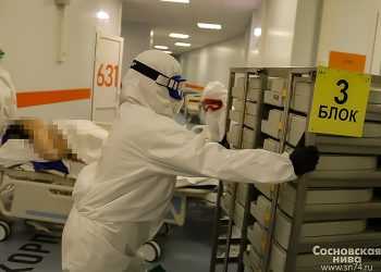 За минувшие сутки в Челябинской области 20 человек умерло от COVID-19