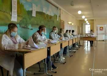 В Сосновском районе избрали депутатов в местные представительные органы власти