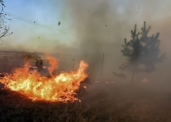 В Сосновском районе сохраняется пожароопасная обстановка