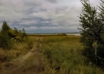 В Сосновском районе ожидаются заморозки