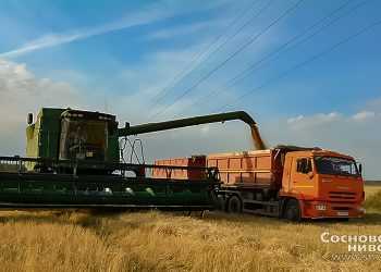Пострадавшим от засухи аграриям окажут дополнительную поддержку