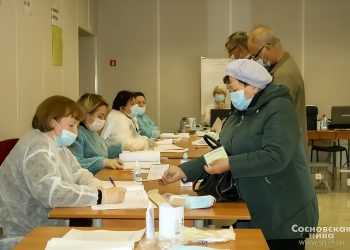 В Сосновском районе за два дня проголосовали почти 32% избирателей