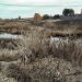 Геомагнитная буря и аномальная сушь в Сосновском районе