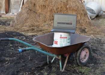 Как интернет помогает жить в селе