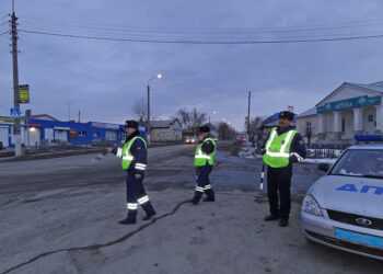 Сотрудники ГИБДД проконтролируют безопасность пешеходов