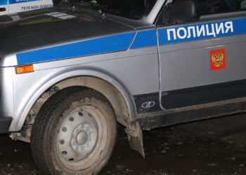 Жителя Сосновского района задержали за развратные действия